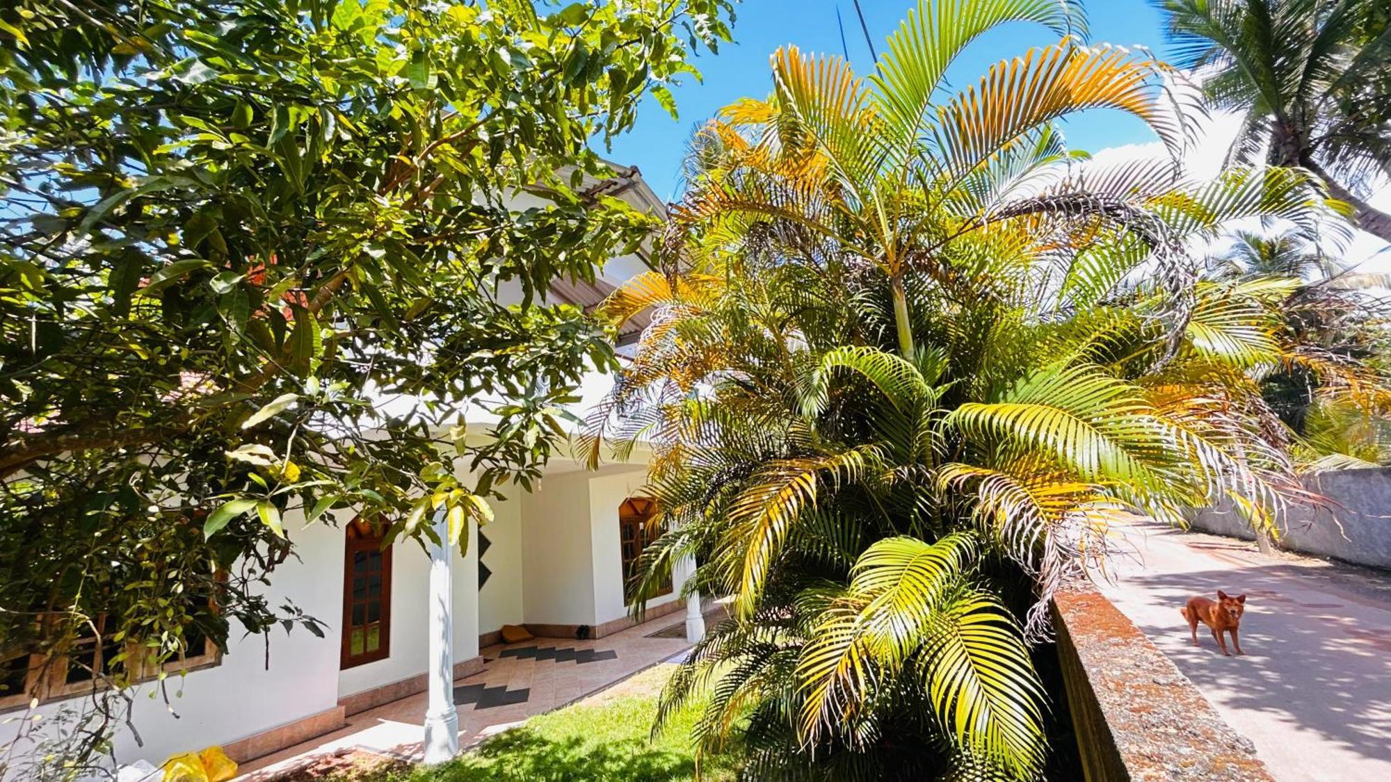 Kida'S Guest House Matara Exterior foto